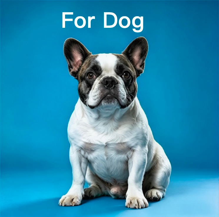 complete dog essentials: nutritious food and quality supplies Natural dog food and practical pet accessories set